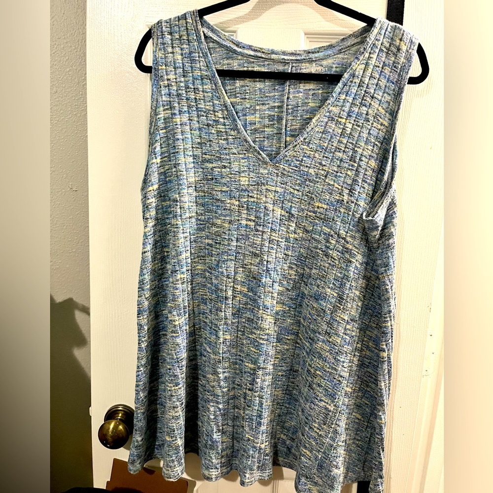 Lane Bryant swing tank